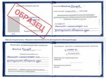 Обучение Машинист механического или флотационного обогащения руды