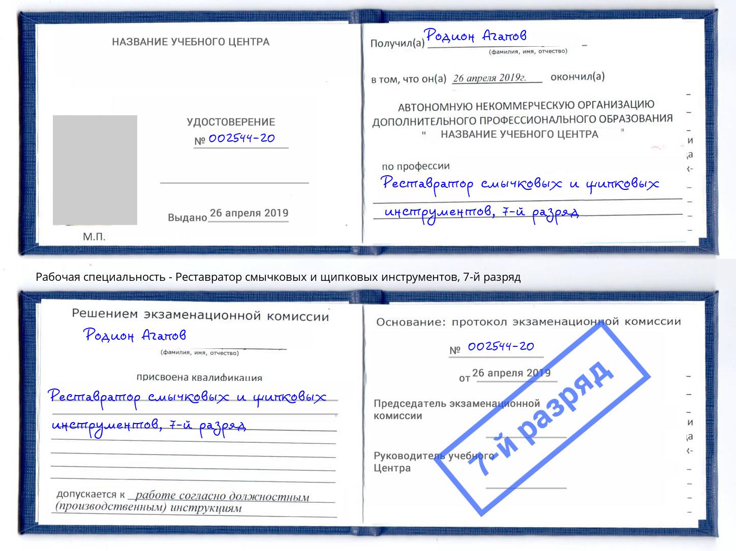 корочка 7-й разряд Реставратор смычковых и щипковых инструментов Керчь